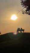 veroni22ka Altpins Profile Picture