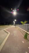 mishel_d_ Altpins Profile Picture