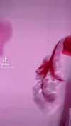 auddk_77 Altpins Profile Picture