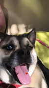 evasela__ Altpins Profile Picture