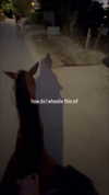 gabbyepstein Altpins Profile Picture