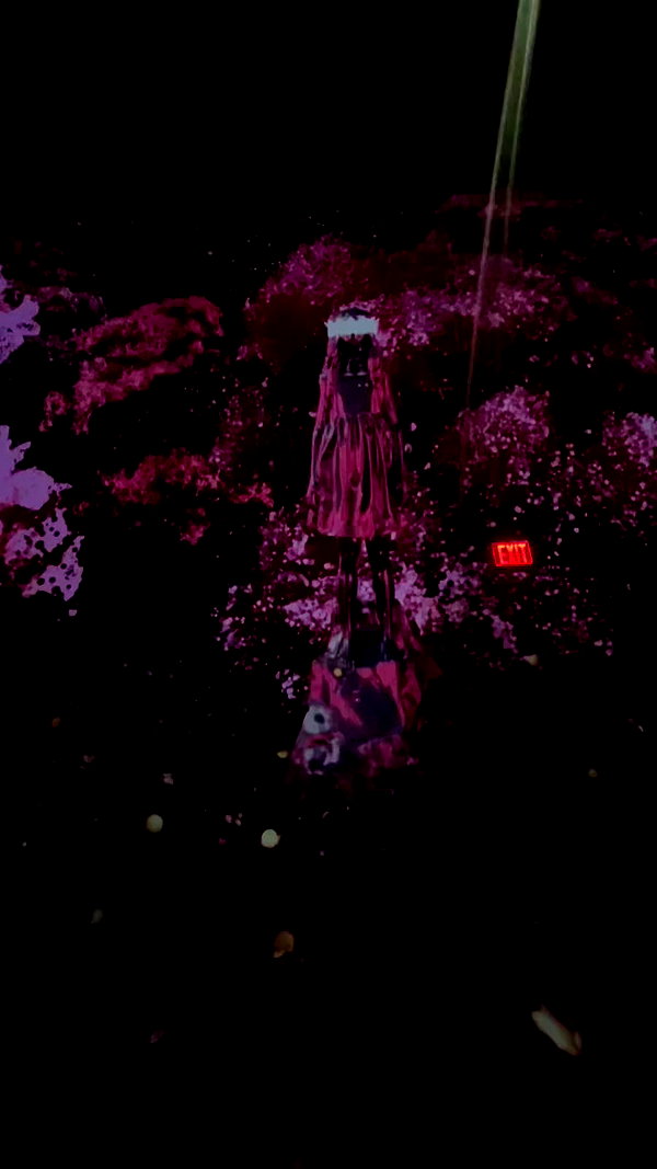 galibilaus archive video preview