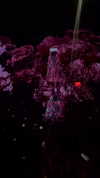 galibilaus Altpins Profile Picture
