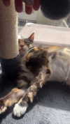 olivia.bolgerr Altpins Profile Picture