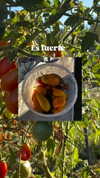 _broock_ Altpins Profile Picture