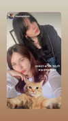 dante_yangpa Altpins Profile Picture