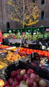 rouxroux.tv Altpins Profile Picture