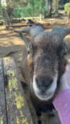 feelbetterinmysweater Altpins Profile Picture