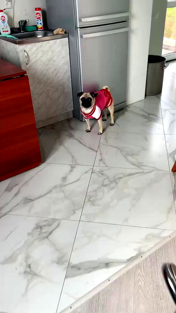 nyityam archive video preview