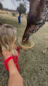 poppyymatildaa Altpins Profile Picture