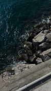 ancideja Altpins Profile Picture