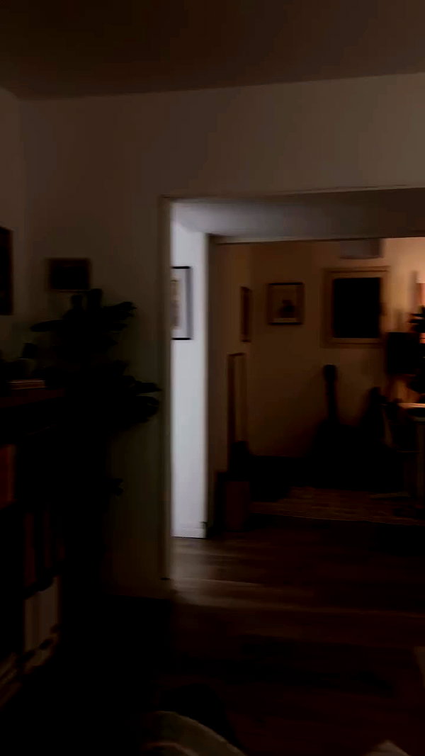 evasela__ archive video preview