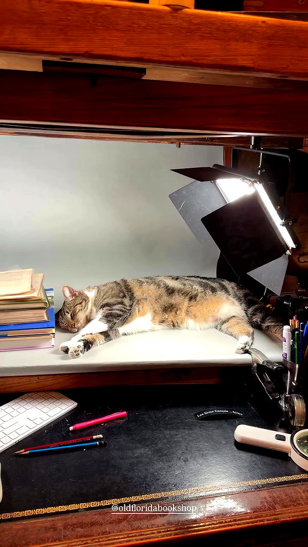 miakhalifa archive video preview