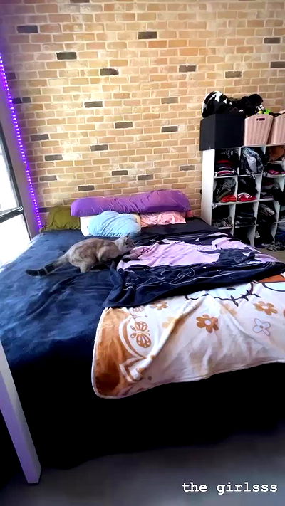 suikomuu suikomuu archive video