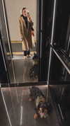 ruth_chavarri Altpins Profile Picture