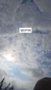 tinapavlov.sky Altpins Profile Picture