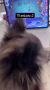 alyri_tv Altpins Profile Picture