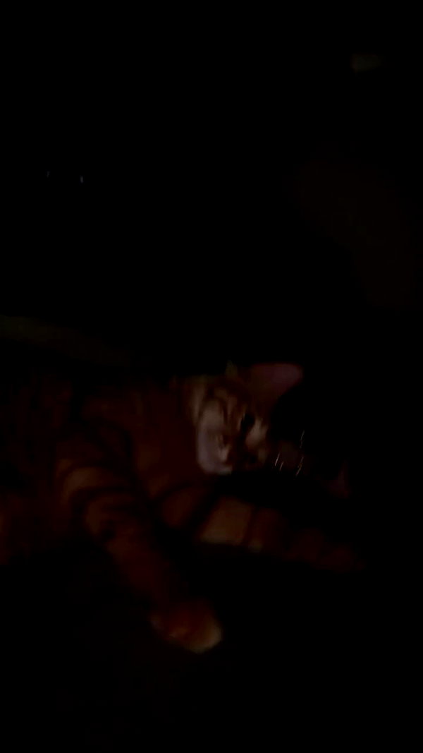 strawberryshanz archive video preview