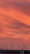 _lironatias Altpins Profile Picture