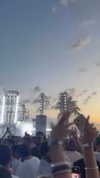 koral_toledo Altpins Profile Picture