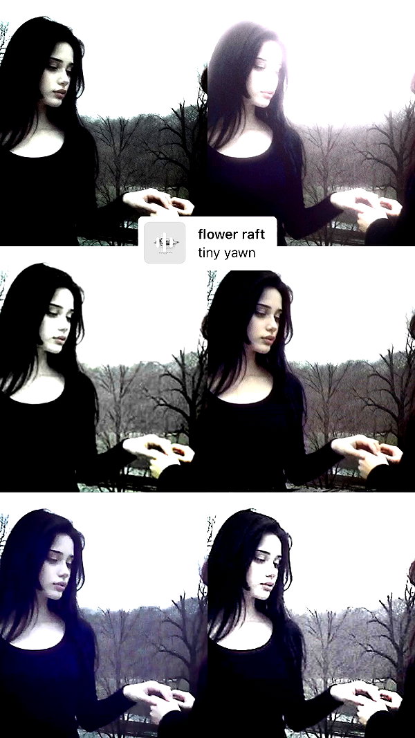 moonliliaght archive video preview