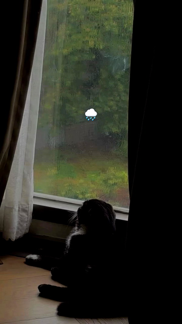 275.cn archive video preview