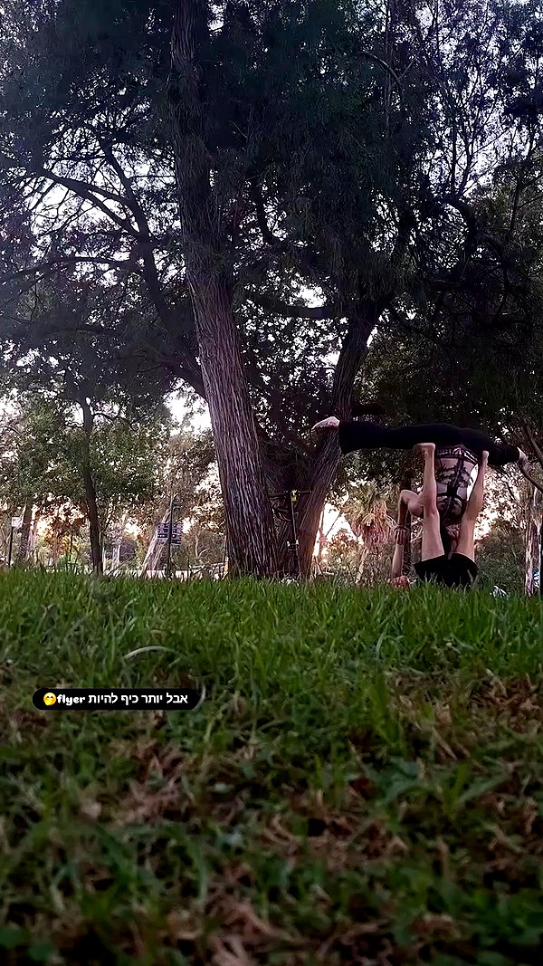 shayli_or archive video preview