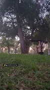 shayli_or Altpins Profile Picture