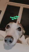 lilih Altpins Profile Picture