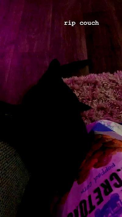 suikomuu suikomuu archive video