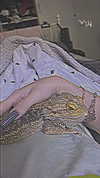 6a6ayaga3 Altpins Profile Picture