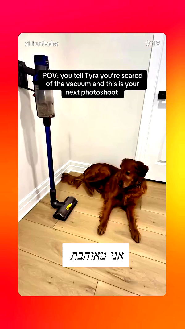 emily_new2 archive video preview