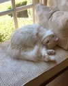 nicolekidman Altpins Profile Picture