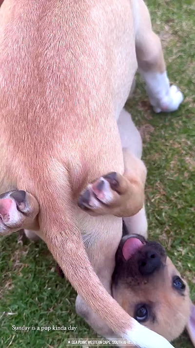 taylor.creeden taylor.creeden archive video