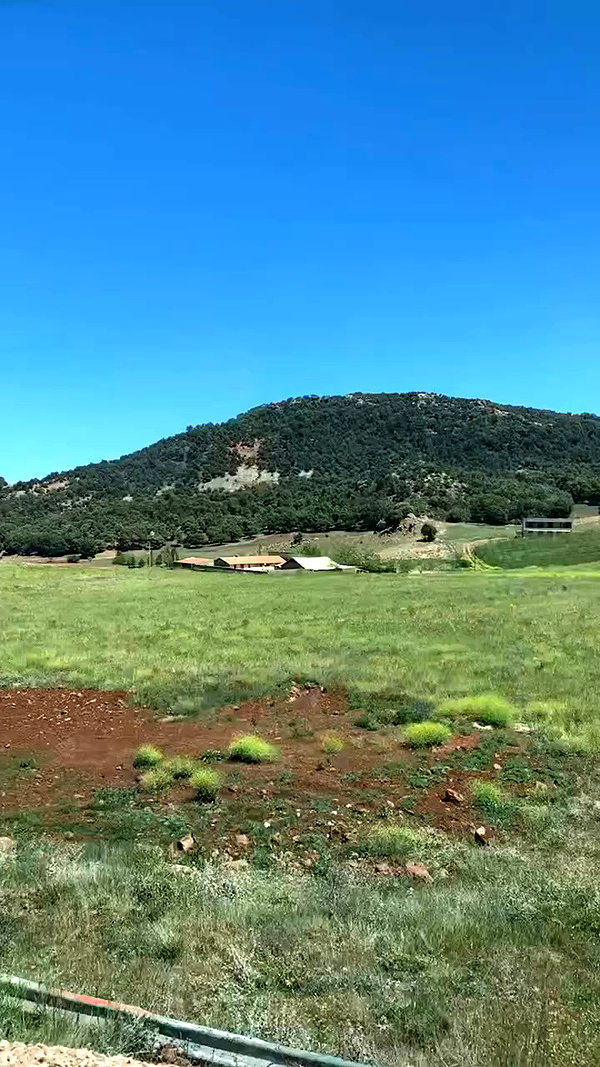 elaysolomon archive video preview