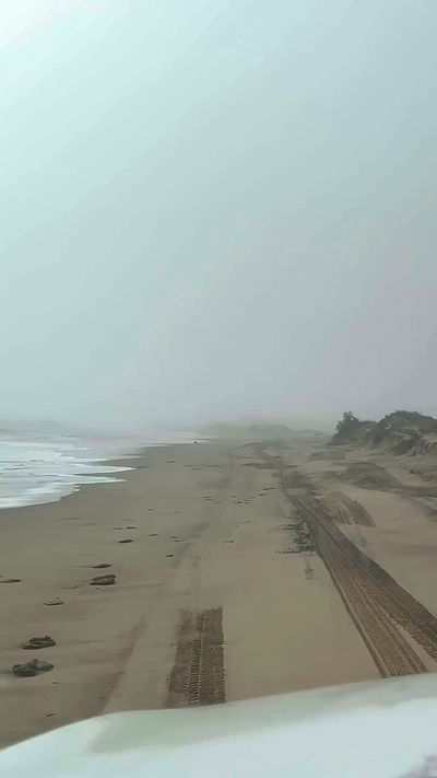 taylor.creeden taylor.creeden archive video