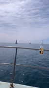 nikolpeleg Altpins Profile Picture