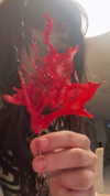 osher_yakir Altpins Profile Picture