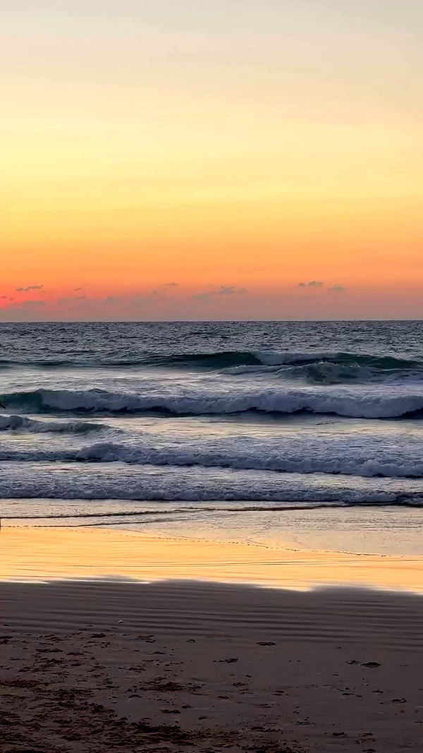 _ariel_lll archive video preview