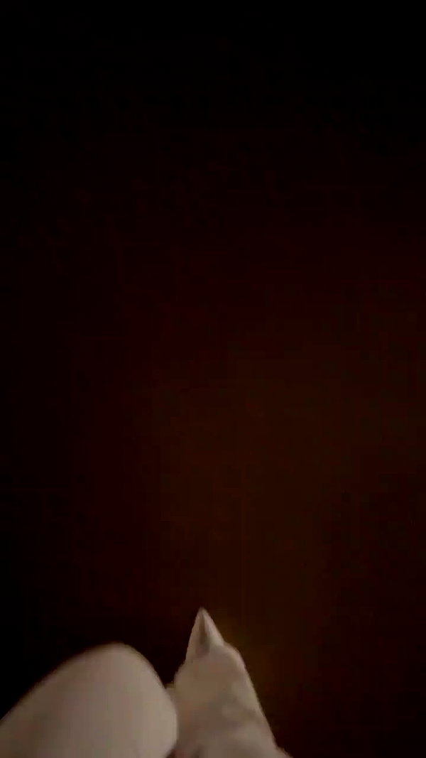sonia_litvanchuk archive video preview