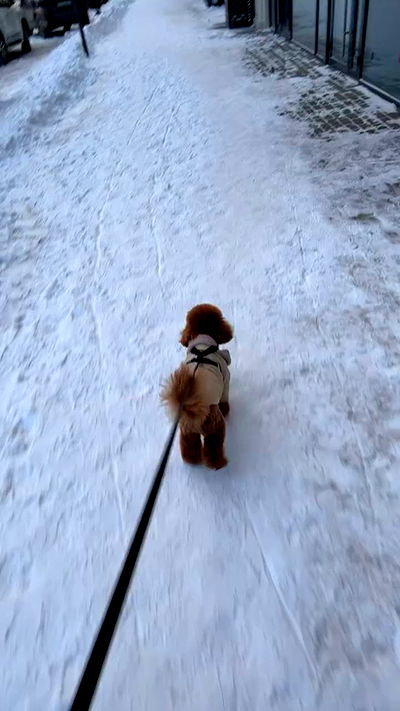 meleeva meleeva archive video