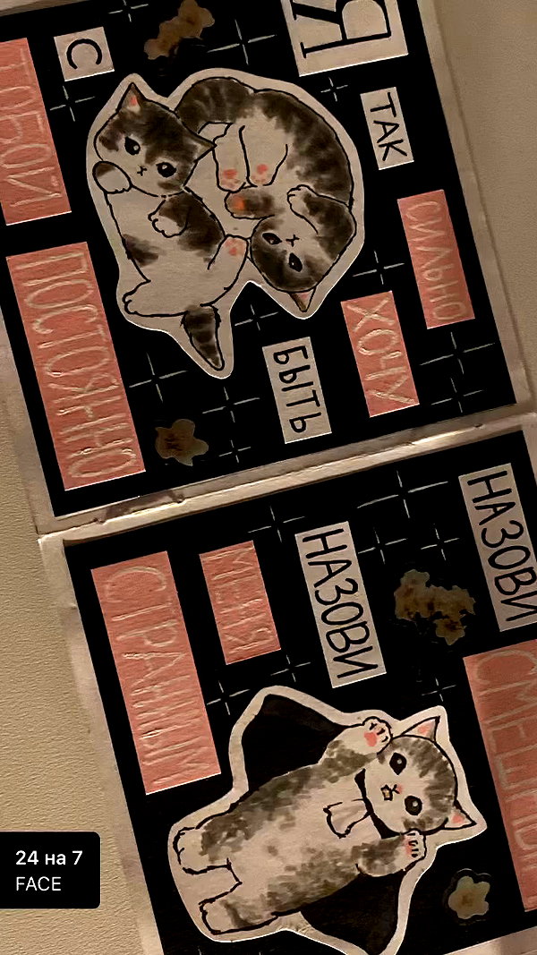 meiiisame archive video preview