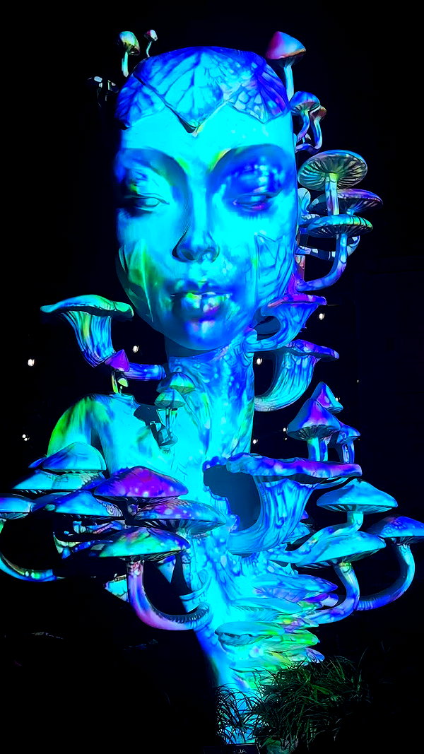 taylor.creeden archive video preview