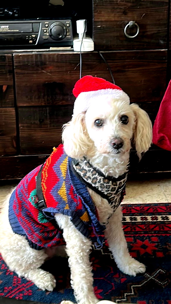 feelbetterinmysweater archive video preview