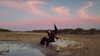 hadas_mayer_ Altpins Profile Picture