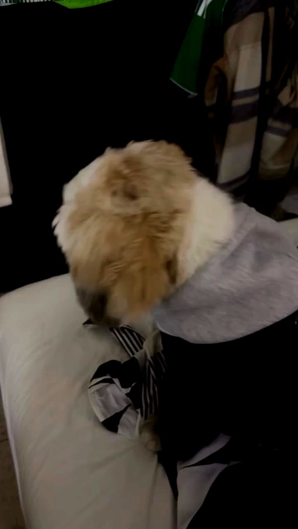 _._dianush._ archive video preview