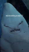 fallen.angel2007 Altpins Profile Picture