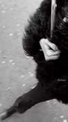 kkwwwv Altpins Profile Picture