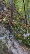 kristti.a Altpins Profile Picture