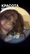hoodifruit Altpins Profile Picture